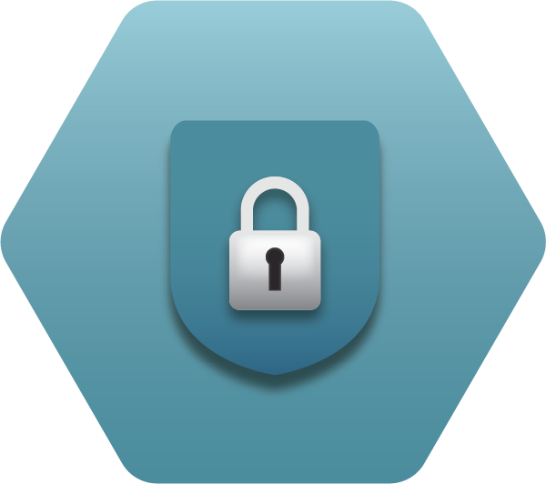 Icon for Data Security